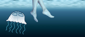 GIANT JUMBO JELLYFISH